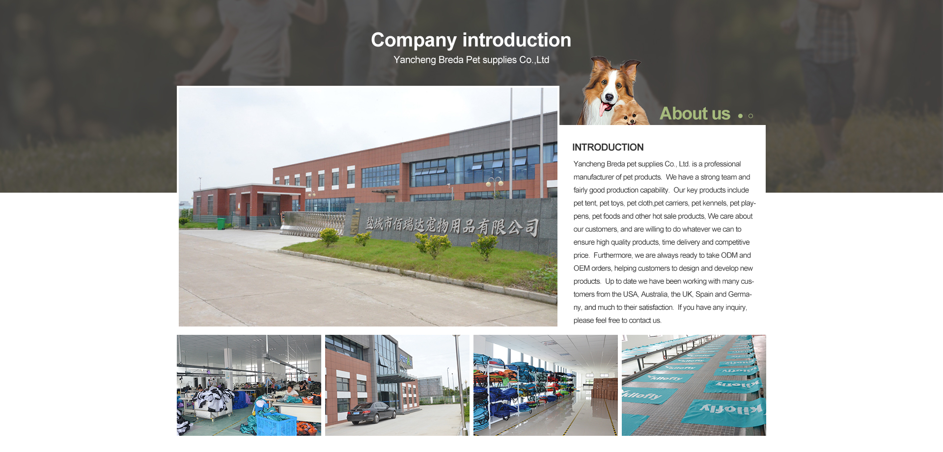 COMPANY PROFILE