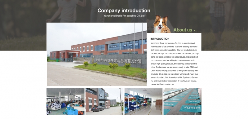 Why chooseYANCHENG BREDA PET SUPPLIES  CO., LTD.